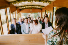 Wedding-Inna-3-18
